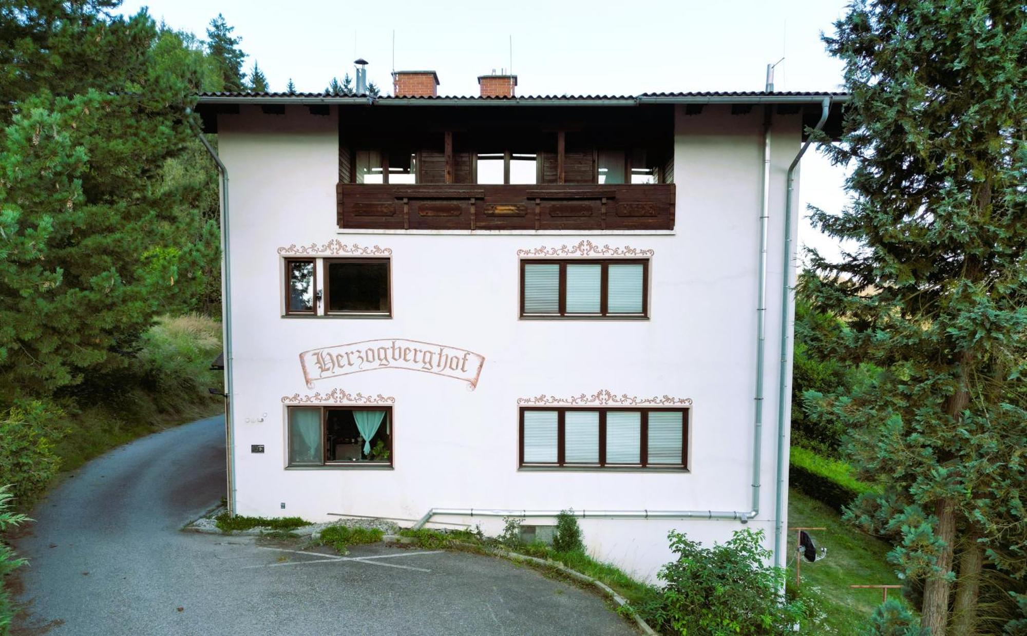 Herzogberghof Kindberg Esterno foto